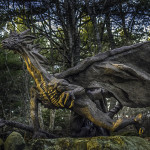 This spectacular Dragon is perhaps the most photographed in the Outdoor Gallery. The detail is amazing.